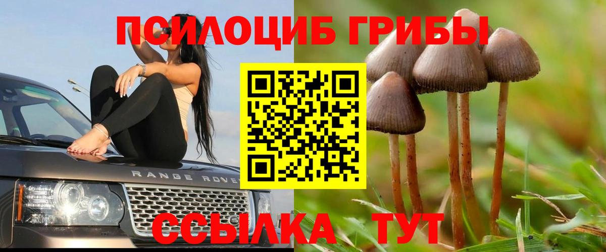 Миллерово  Псилоцибиновые грибы мухоморы  Вход с VPN 